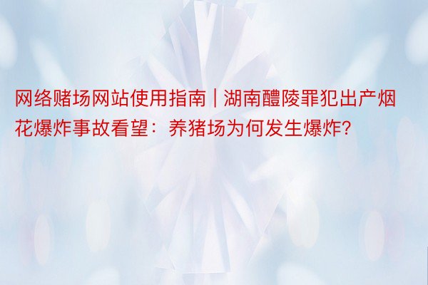 网络赌场网站使用指南 | 湖南醴陵罪犯出产烟花爆炸事故看望：养猪场为何发生爆炸？