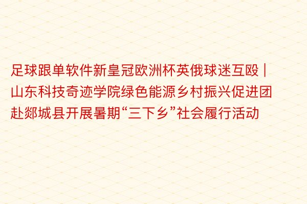 足球跟单软件新皇冠欧洲杯英俄球迷互殴 | 山东科技奇迹学院绿色能源乡村振兴促进团赴郯城县开展暑期“三下乡”社会履行活动