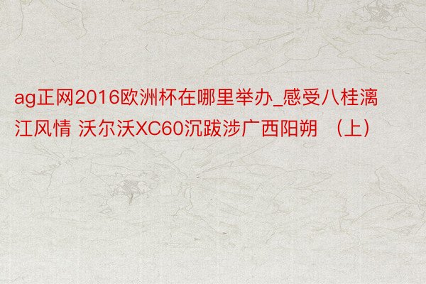 ag正网2016欧洲杯在哪里举办_感受八桂漓江风情 沃尔沃XC60沉跋涉广西阳朔 （上）