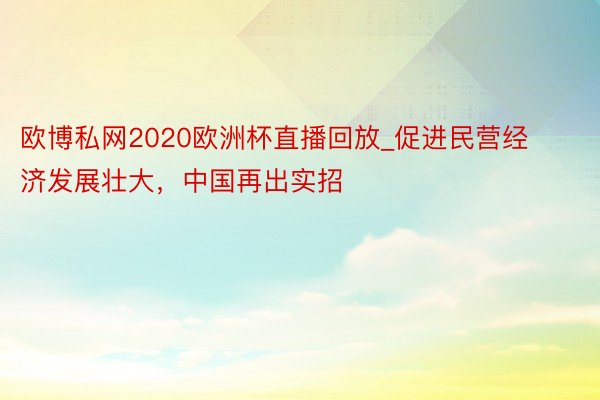 欧博私网2020欧洲杯直播回放_促进民营经济发展壮大，中国再出实招