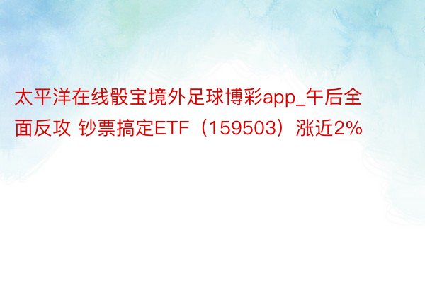 太平洋在线骰宝境外足球博彩app_午后全面反攻 钞票搞定ETF（159503）涨近2%