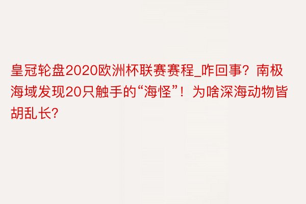 皇冠轮盘2020欧洲杯联赛赛程_咋回事？南极海域发现20只触手的“海怪”！为啥深海动物皆胡乱长？