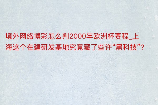 境外网络博彩怎么判2000年欧洲杯赛程_上海这个在建研发基地究竟藏了些许“黑科技”？